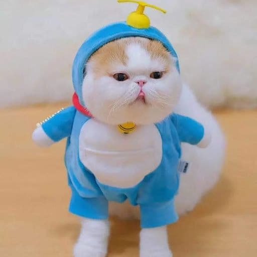 Khôi Nguyễn Đức Anh